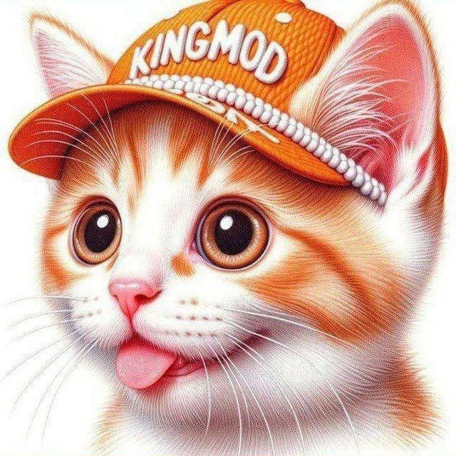 👑KINGMOD Android👑